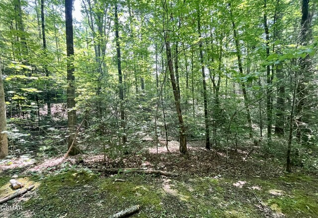 2537 Waldens Creek Rd, Sevierville, TN 37862 - photo 47