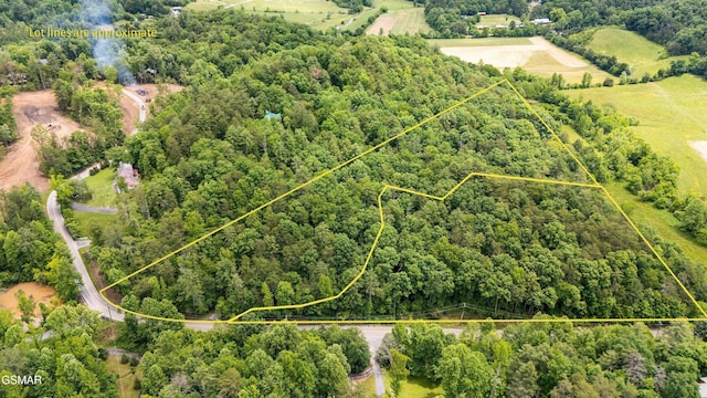 2537 Waldens Creek Rd, Sevierville, TN 37862 - aerial view of property and surrounding area with property parcel outlined and a heavily wooded area