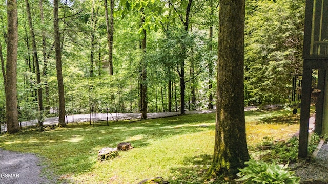 2537 Waldens Creek Rd, Sevierville, TN 37862 - view of grassy yard featuring a wooded view