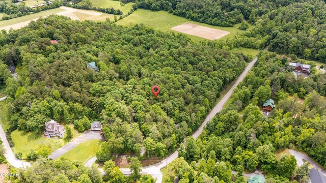 2537 Waldens Creek Rd, Sevierville, TN 37862 - photo 32