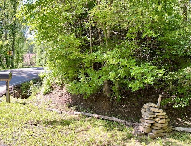 2537 Waldens Creek Rd, Sevierville, TN 37862 - view of yard