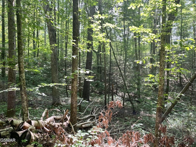2537 Waldens Creek Rd, Sevierville, TN 37862 - photo 38