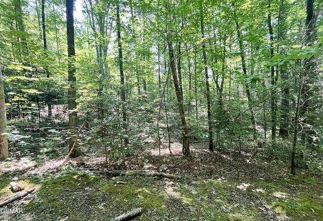 2537 Waldens Creek Rd, Sevierville, TN 37862 - view of woods