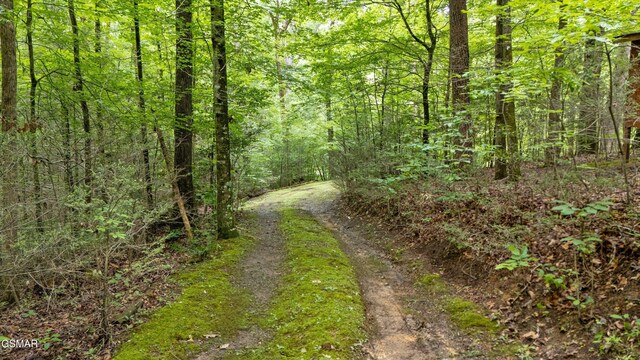 2537 Waldens Creek Rd, Sevierville, TN 37862 - photo 41