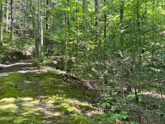 2537 Waldens Creek Rd, Sevierville, TN 37862 - photo 39