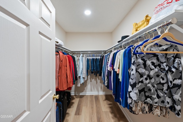 walk in closet with wood-type flooring