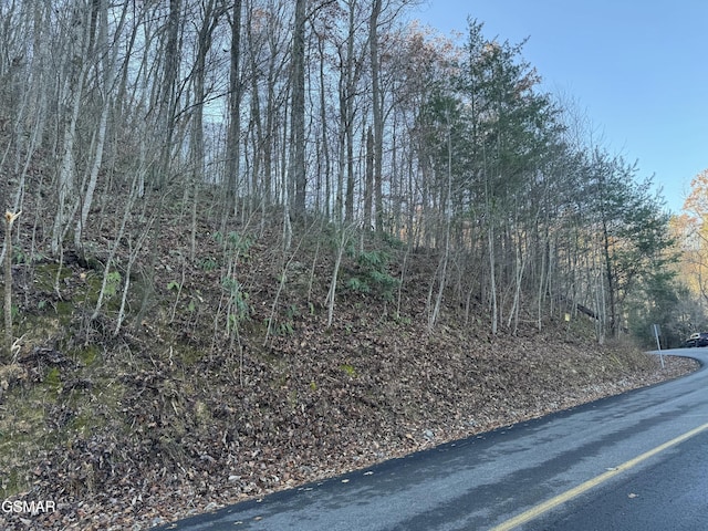 LOT57 Whetstone Rd, Sevierville TN, 37862 land for sale