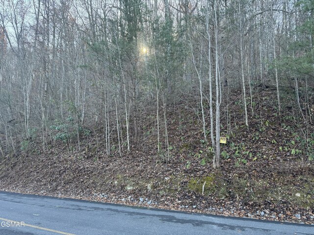 Listing photo 3 for LOT57 Whetstone Rd, Sevierville TN 37862