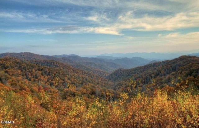 2973 Mockingbird Way, Sevierville, TN 37862 - view of mountain background with a heavily wooded area