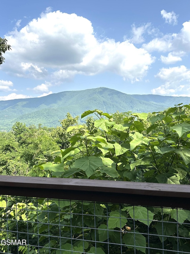 2973 Mockingbird Way, Sevierville, TN 37862 - view of mountain background