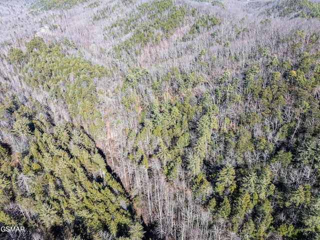 TRACT4 Wilhite Rd, Sevierville, TN 37876