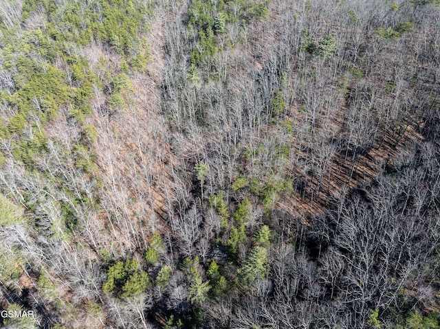 TRACT4 Wilhite Rd, Sevierville, TN 37876