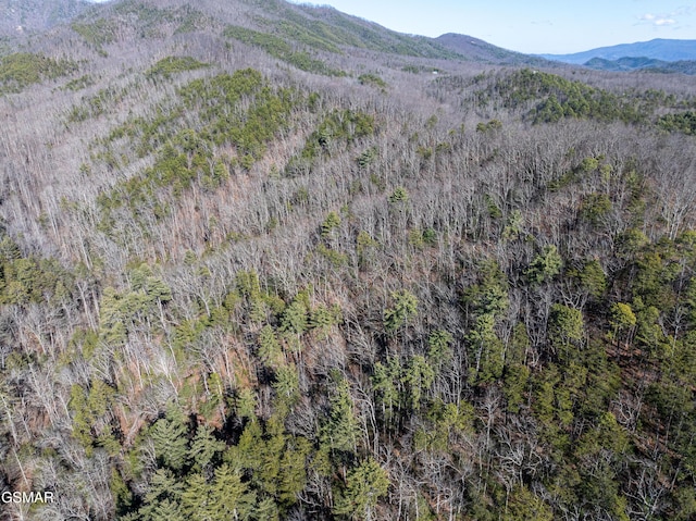 TRACT4 Wilhite Rd, Sevierville, TN 37876