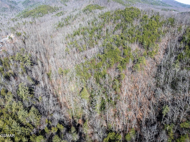 TRACT4 Wilhite Rd, Sevierville, TN 37876