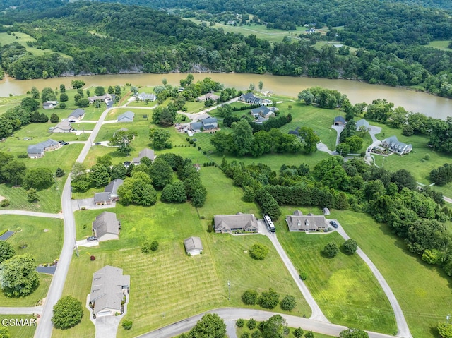 1725 River Mist Ln, Sevierville, TN 37876 - bird's eye view