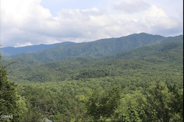 view of mountain feature