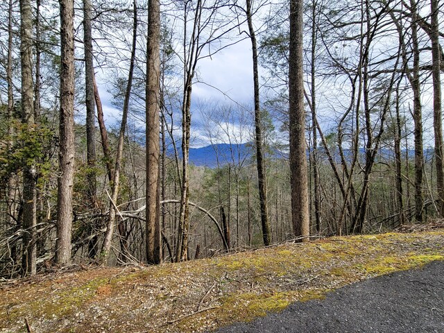 LOT39 Riversong Way, Sevierville, TN 37876 - photo 2
