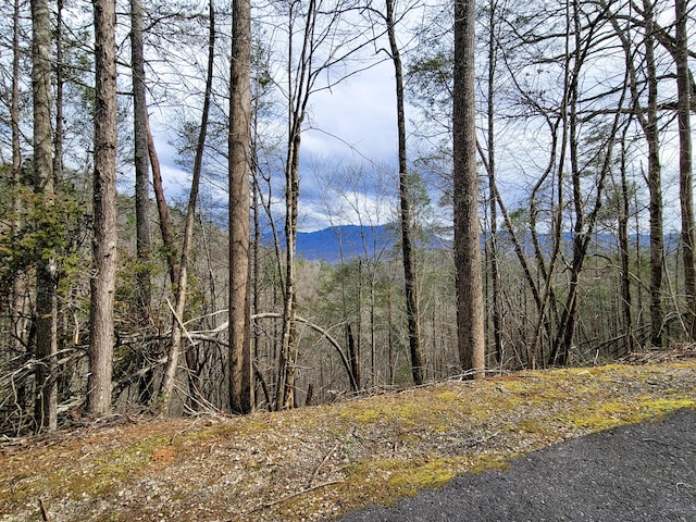 LOT39 Riversong Way, Sevierville TN, 37876 land for sale