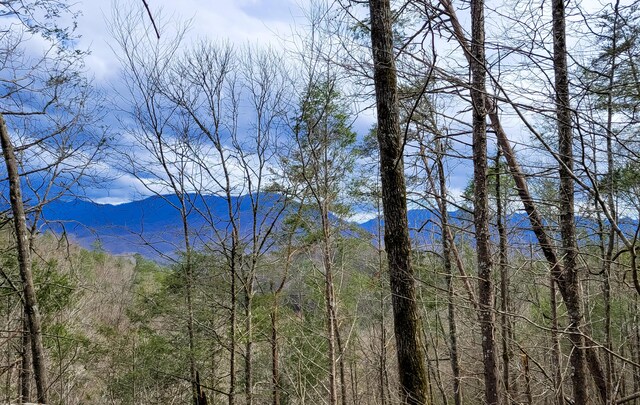 LOT39 Riversong Way, Sevierville, TN 37876 - photo 1