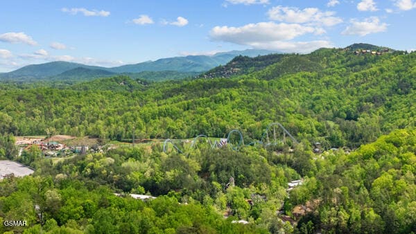 view of mountain feature featuring a wooded view