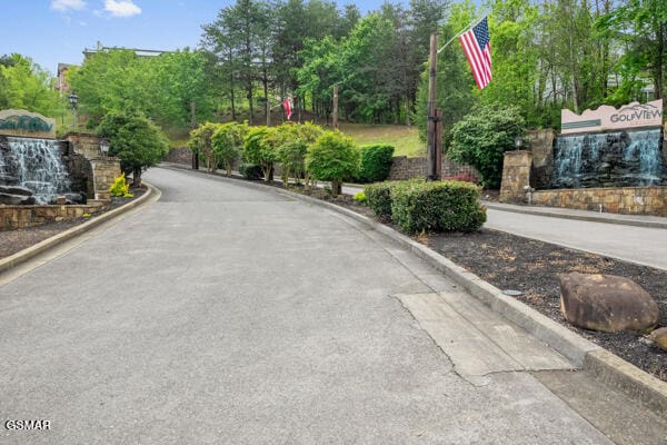 view of street with curbs