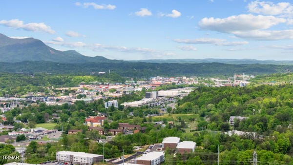 birds eye view of property featuring a mountain view