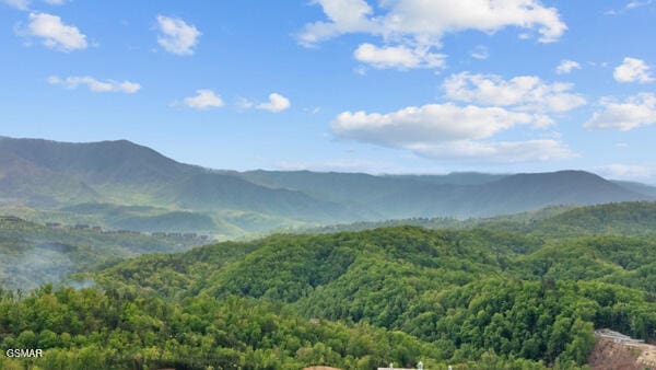 mountain view with a forest view