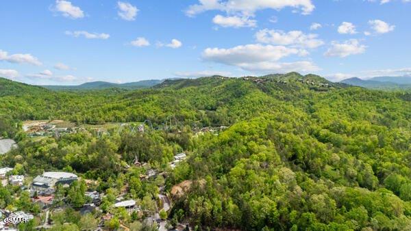 birds eye view of property featuring a forest view and a mountain view