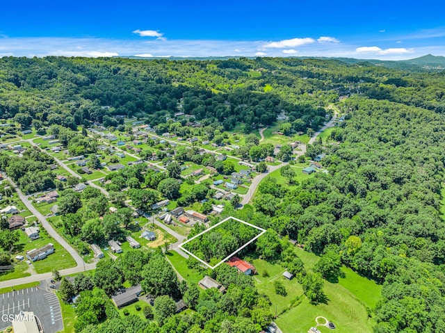 0 Orebank Rd, Kingsport, TN 37664 - photo 8