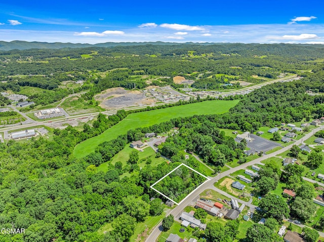 0 Orebank Rd, Kingsport, TN 37664 - photo 12