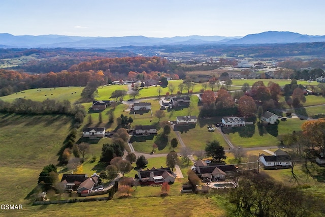 bird's eye view featuring a mountain view