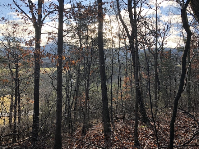 0 Little Meadow Creek Rd, Greeneville TN, 37743 land for sale