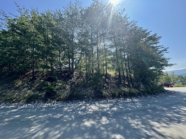 LOT25 Summit Trails Dr, Sevierville, TN 37876