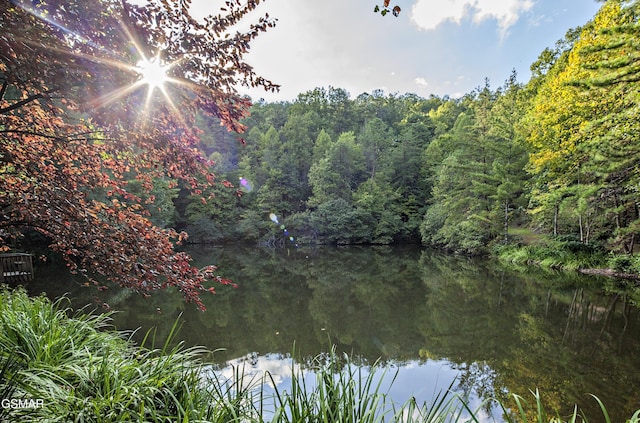water view featuring a heavily wooded area