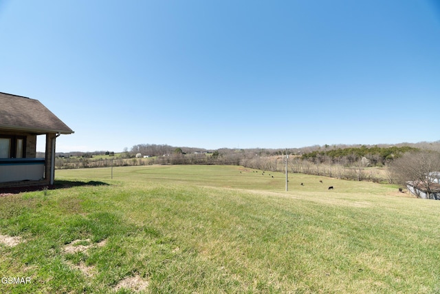 view of yard with a rural view