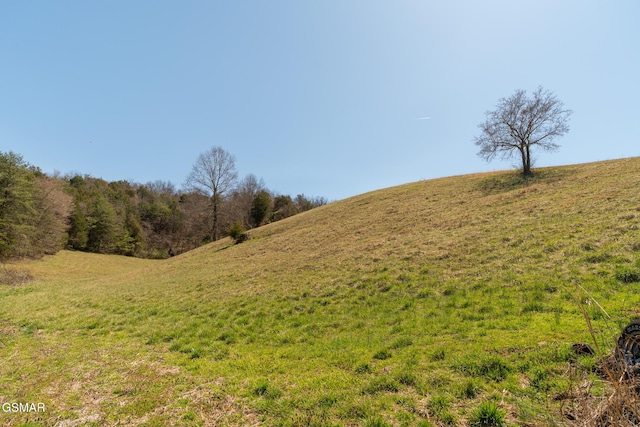 view of nature