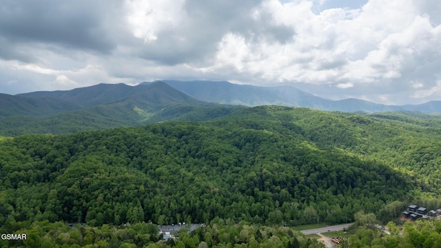 property view of mountains with a view of trees