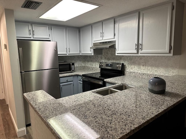 kitchen featuring backsplash, kitchen peninsula, sink, and appliances with stainless steel finishes