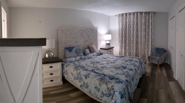 bedroom featuring dark hardwood / wood-style flooring, lofted ceiling, and a closet