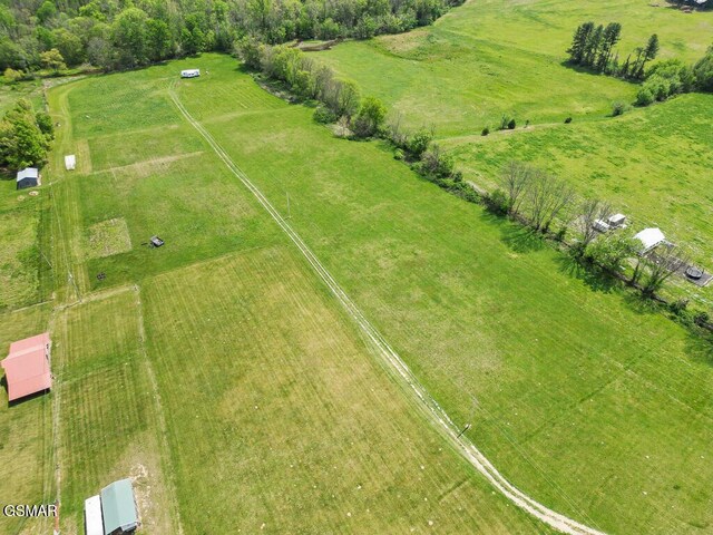 3858 Holders Grove Rd, Cosby, TN 37722