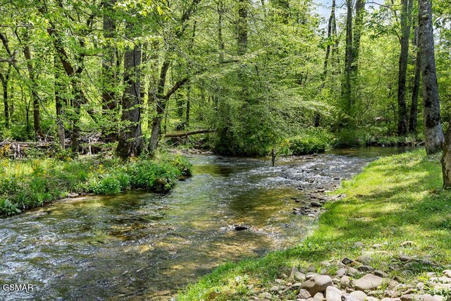 3858 Holders Grove Rd, Cosby, TN 37722
