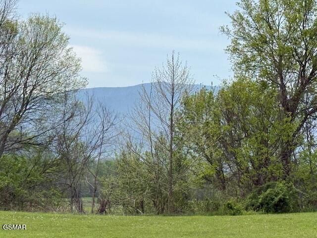 3858 Holders Grove Rd, Cosby, TN 37722
