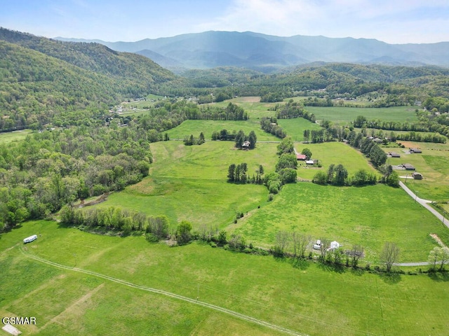 3858 Holders Grove Rd, Cosby, TN 37722