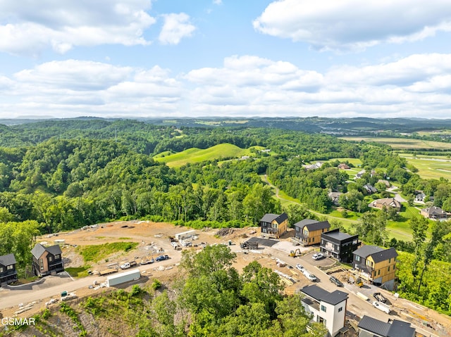 1409 Reedmont Way, Sevierville, TN 37876 - bird's eye view of a heavily wooded area