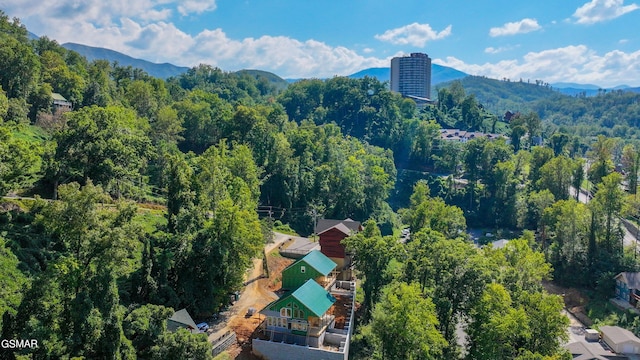 aerial view with a mountain view