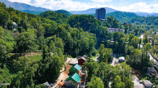 aerial view with a mountain view