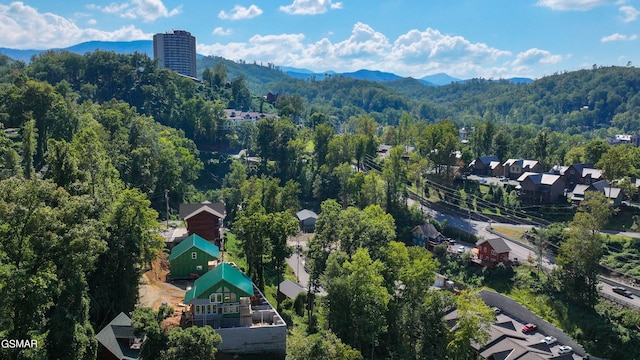 bird's eye view with a mountain view