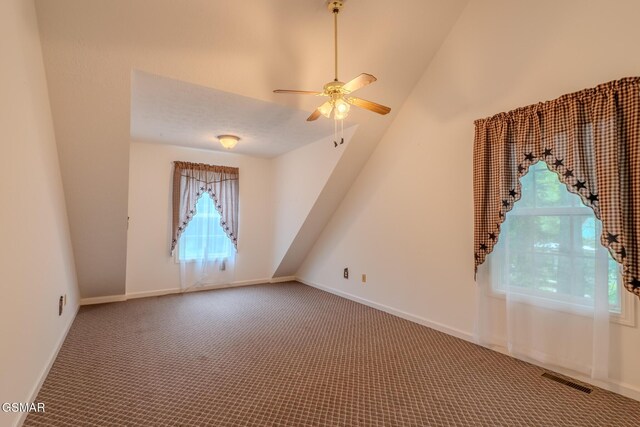 4802 Rhododendron Rd, Cosby, TN 37722 - photo 30