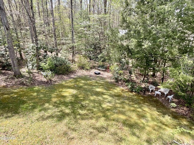 4802 Rhododendron Rd, Cosby, TN 37722 - photo 47