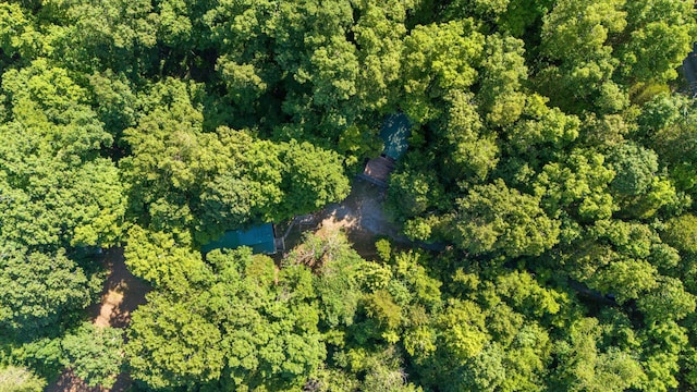 3530 Needles Way, Sevierville, TN 37876 - photo 40